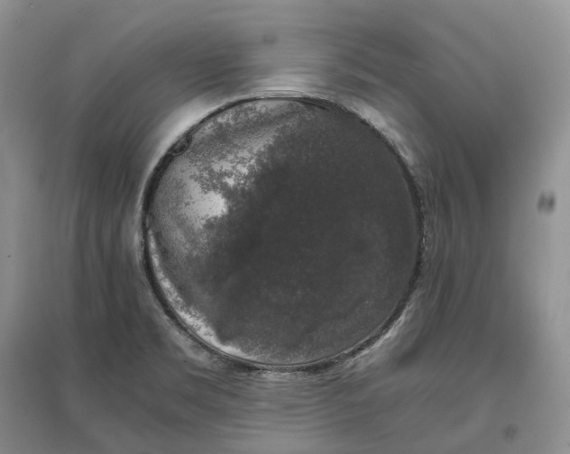 X0000097301469200802291803