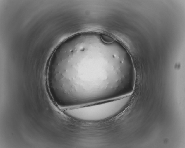 X0000097301471200802291803