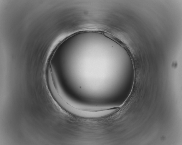 X0000097301472200802291802