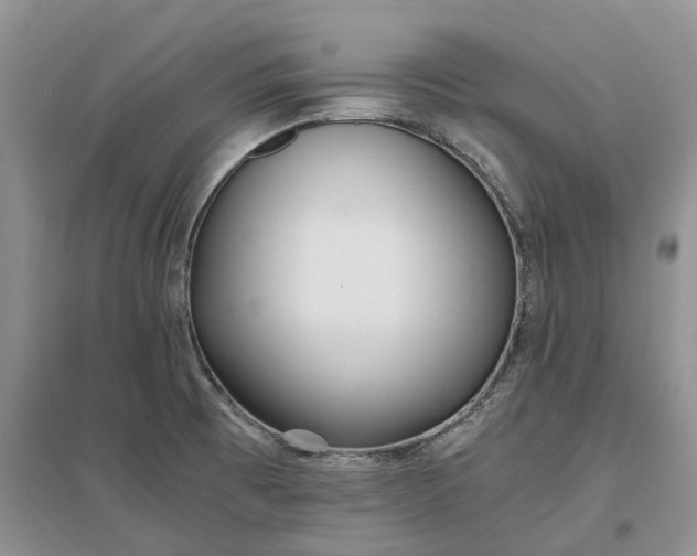 X0000097301473200802291802