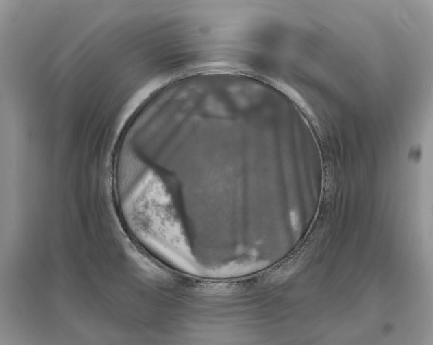 X0000097301474200802291802