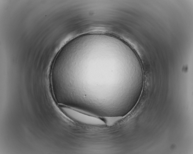 X0000097301475200802291802