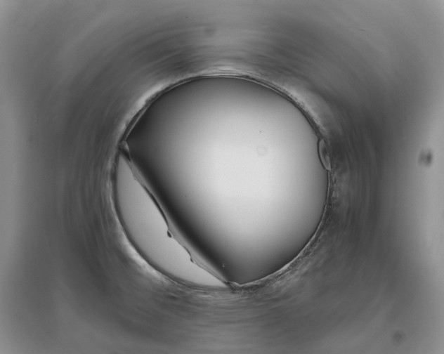 X0000097301476200802291802