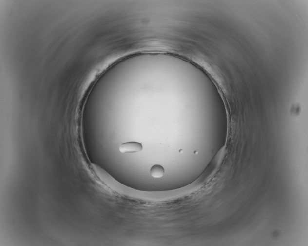 X0000097301477200802291802