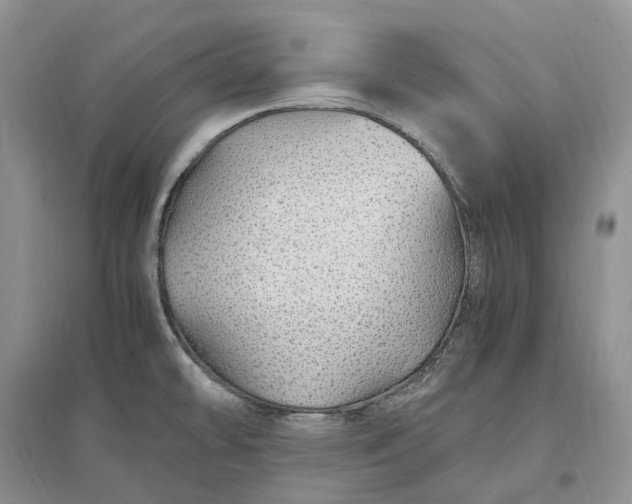 X0000097301478200802291802