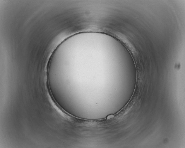 X0000097301479200802291802