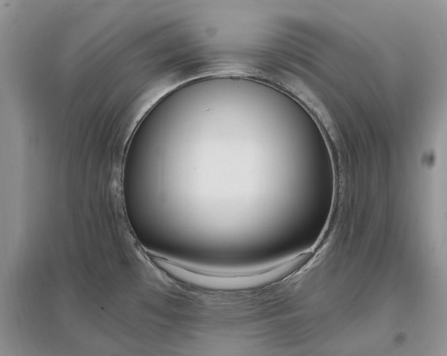 X0000097301481200802291802