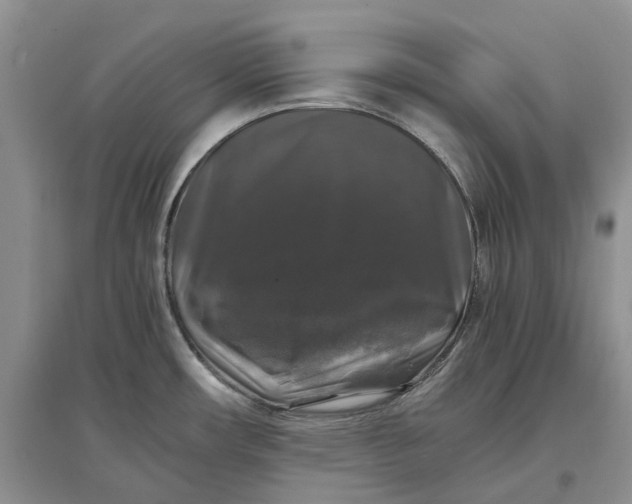 X0000097301482200802291802