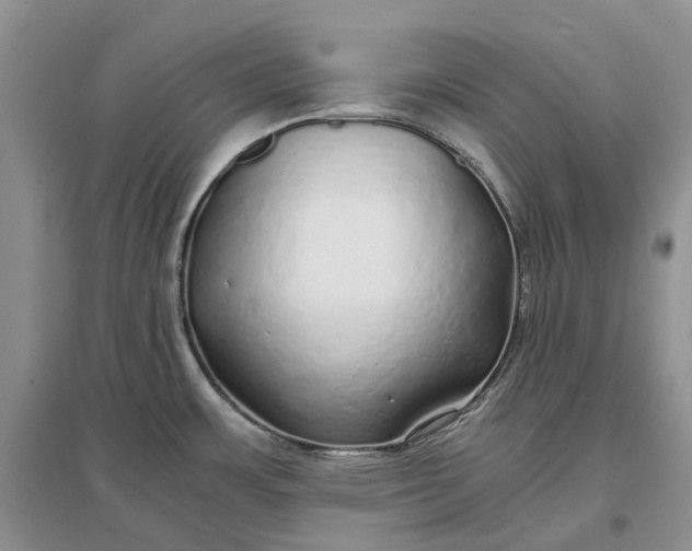 X0000097301483200802291802