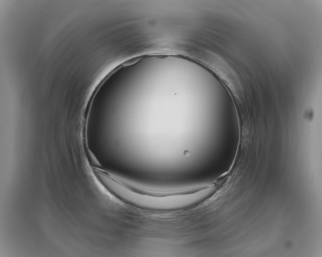 X0000097301484200802291802