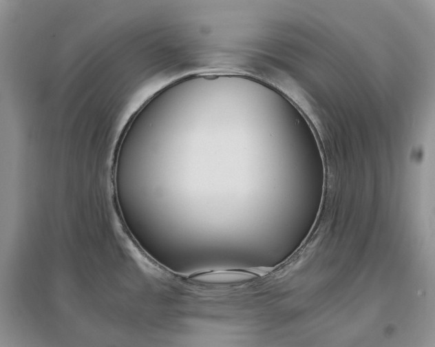 X0000097301485200802291802