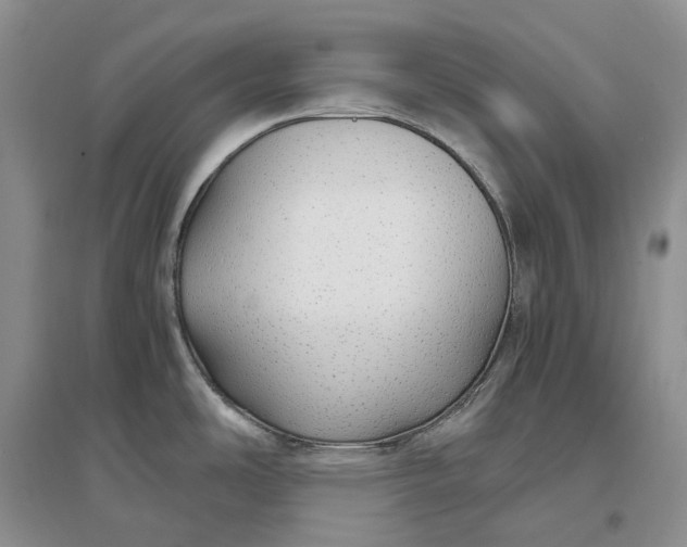 X0000097301486200802291802