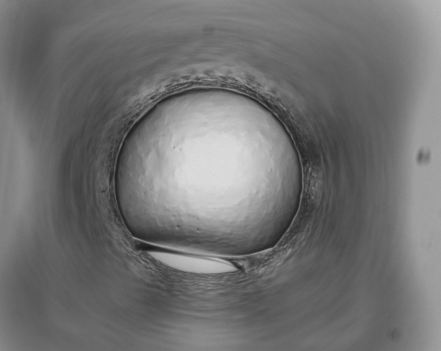 X0000097301489200802291801