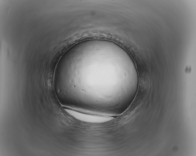 X0000097301490200802291801