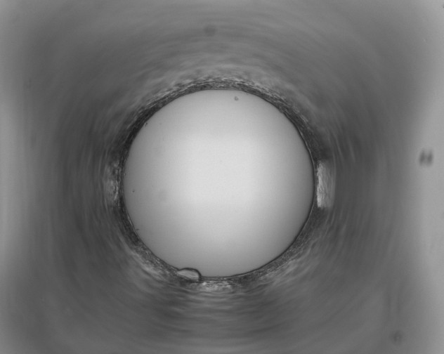 X0000097301491200802291801