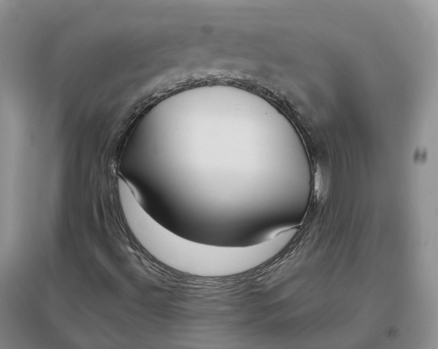 X0000097301492200802291801