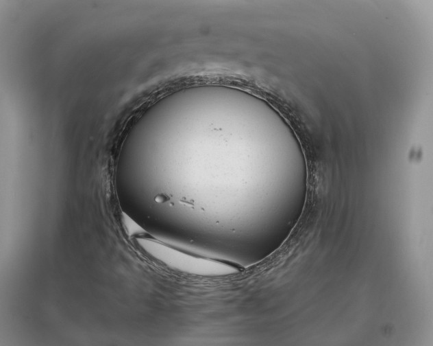 X0000097301493200802291801