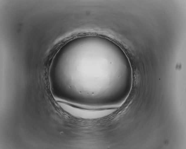 X0000097301494200802291801