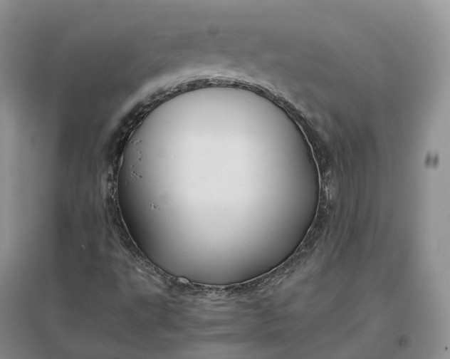 X0000097301495200802291801