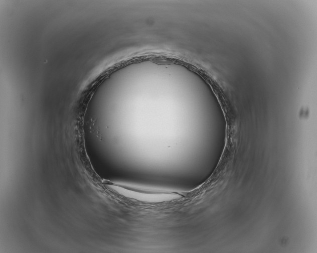 X0000097301496200802291801