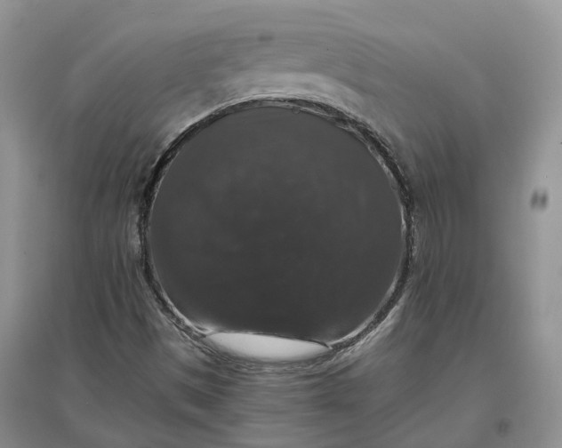 X0000097301497200802291801