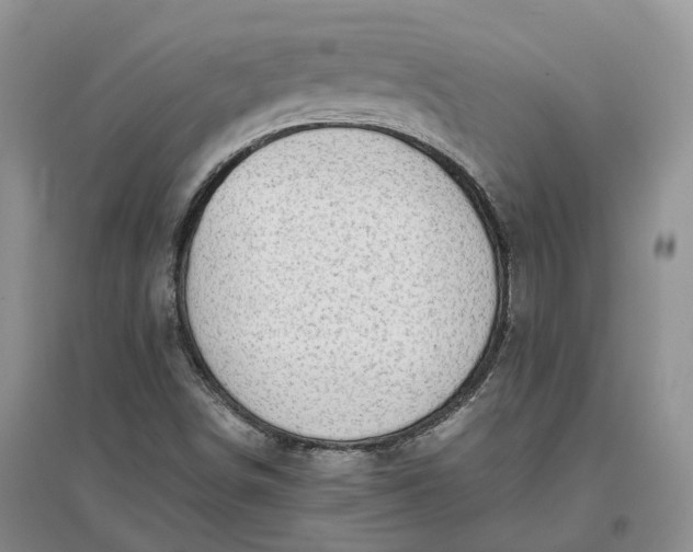 X0000097301498200802291802