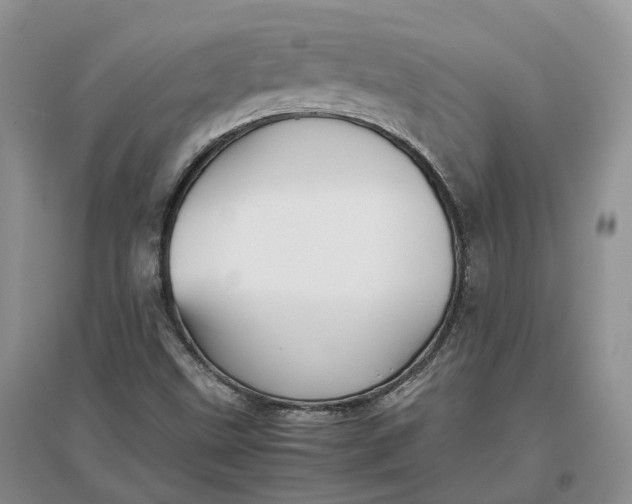 X0000097301499200802291802