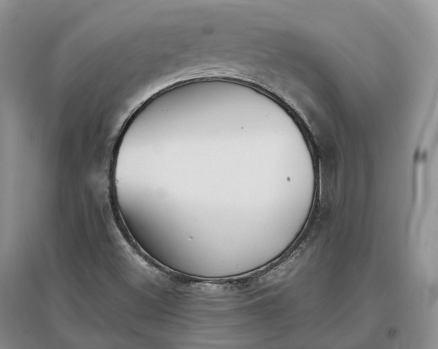 X0000097301500200802291802