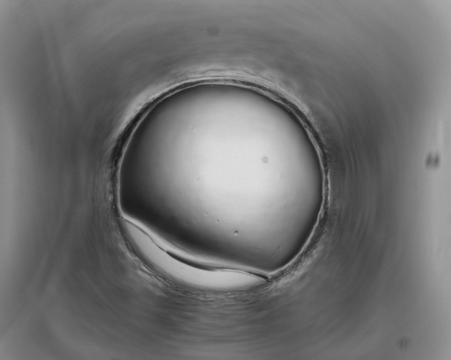 X0000097301501200802291802