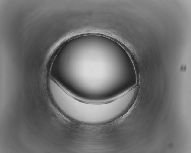 X0000097301502200802291802