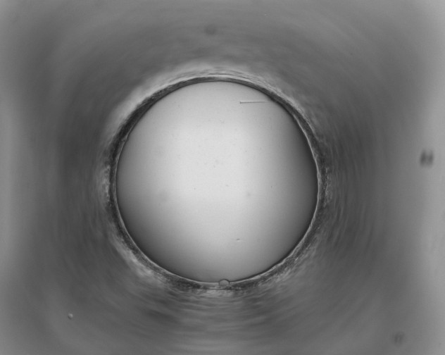 X0000097301503200802291802