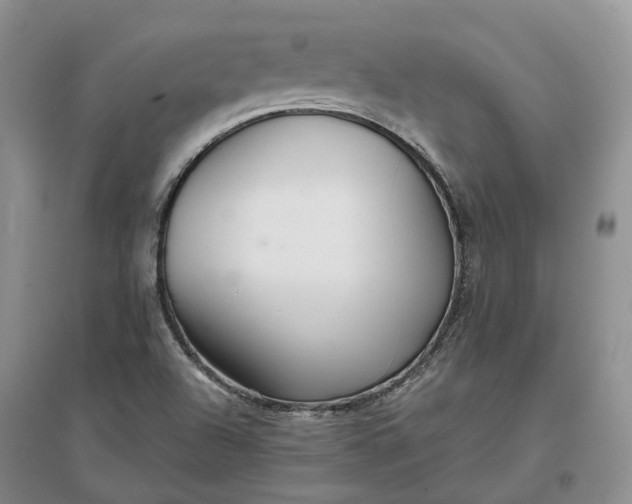 X0000097301504200802291802