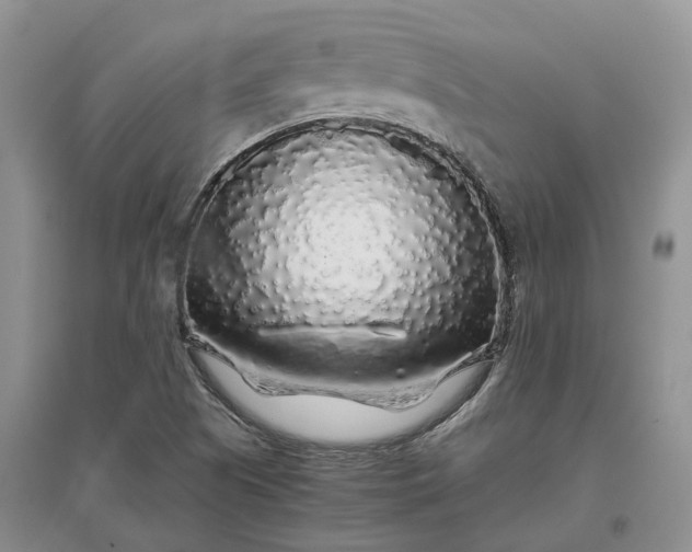 X0000097301505200802291802