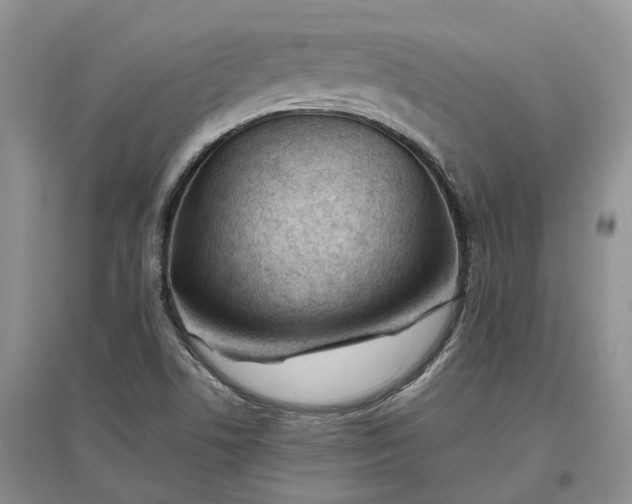 X0000097301506200802291802