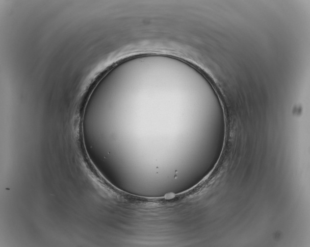 X0000097301507200802291802