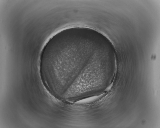 X0000097301508200802291802