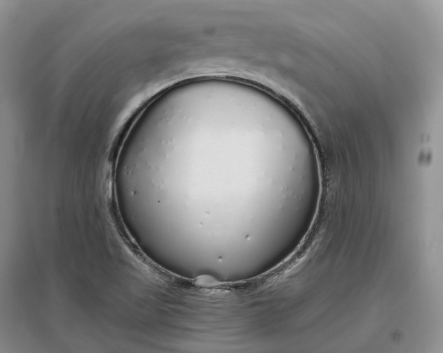 X0000097301509200802291802