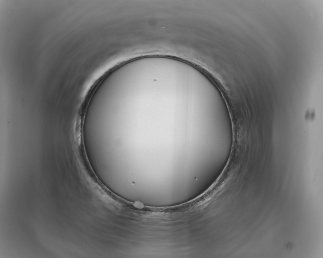 X0000097301510200802291802