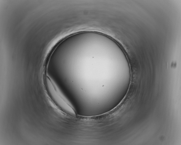 X0000097301511200802291802