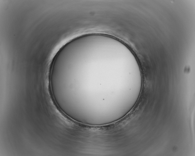 X0000097301512200802291802