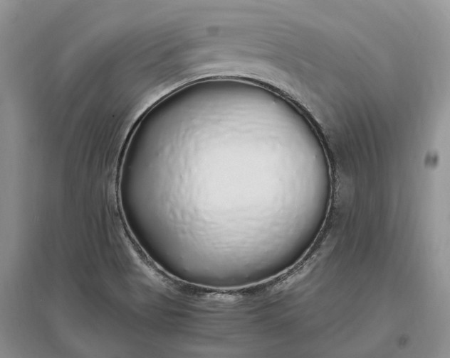 X0000097301513200802291802