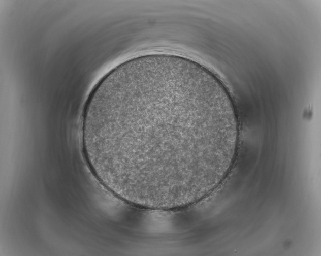 X0000097301514200802291802