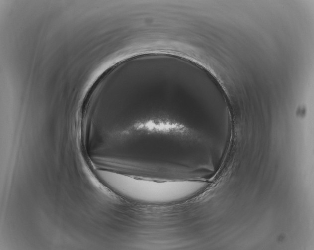 X0000097301515200802291802