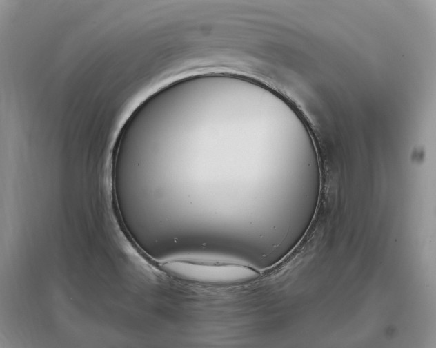 X0000097301516200802291802