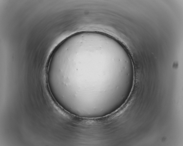 X0000097301517200802291802