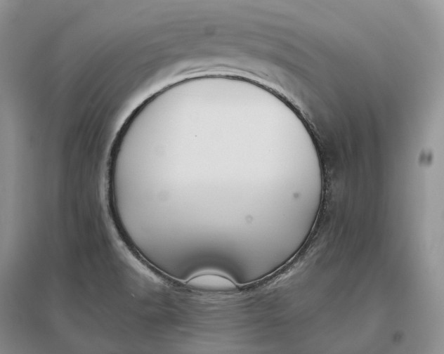 X0000097301518200802291802