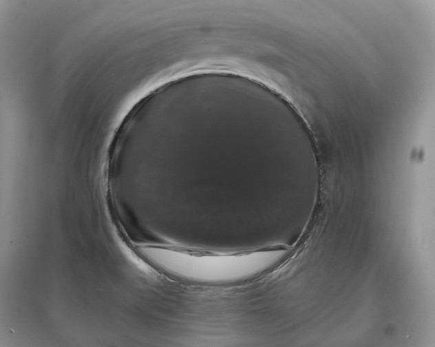 X0000097301519200802291802