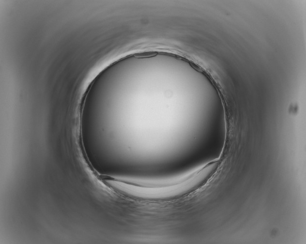 X0000097301520200802291802