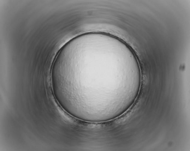 X0000097301521200802291802