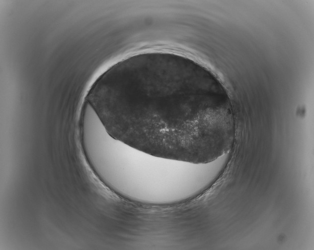 X0000097301522200802291802